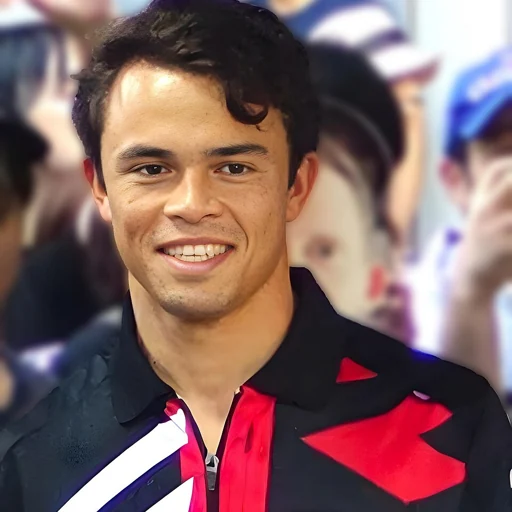 Nyck de Vries